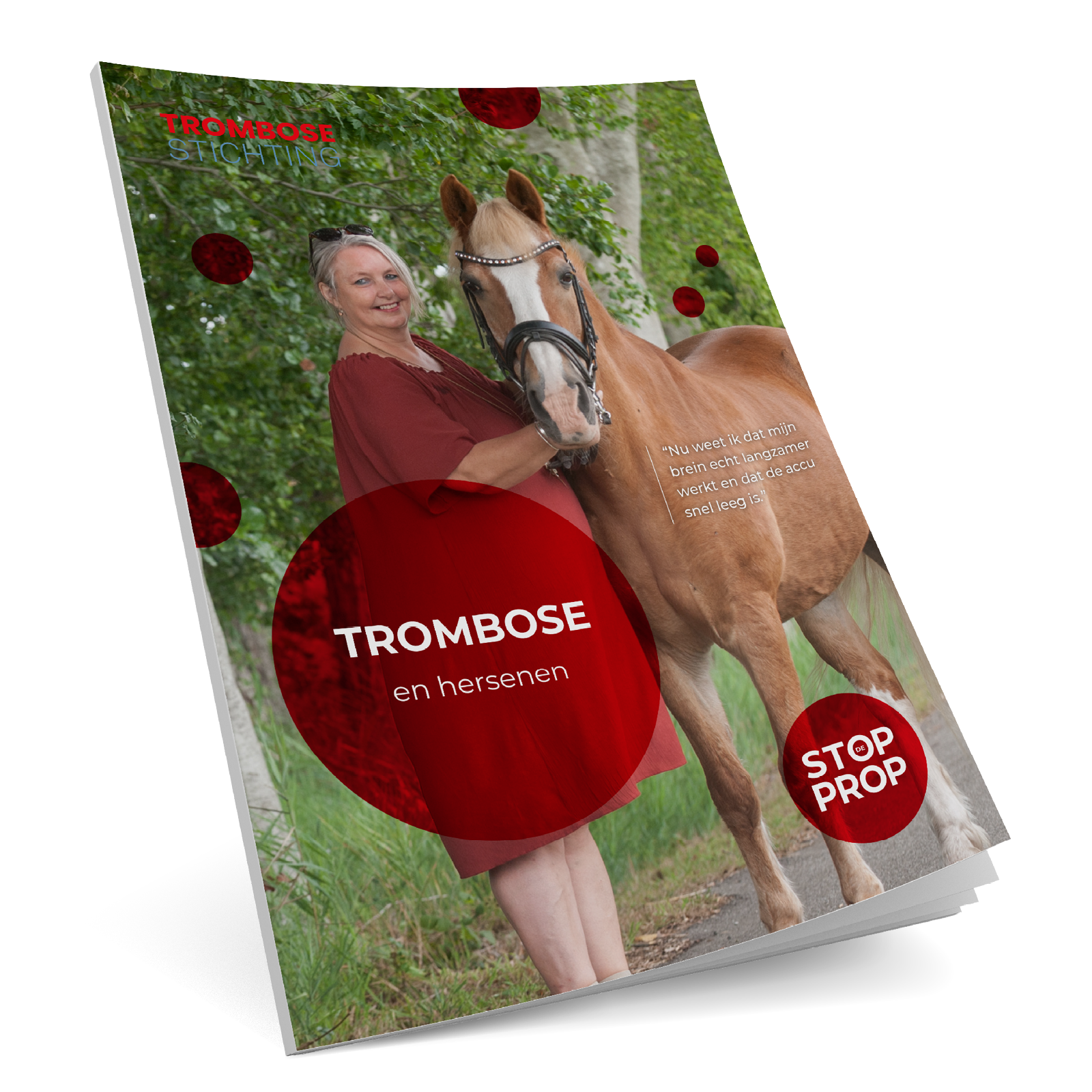 Brochure hersenen